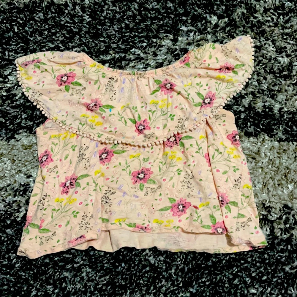 Pink Floral CropTop
